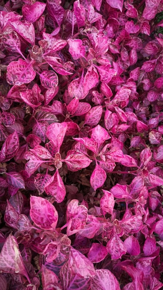 Photograph by Дарья Кирина