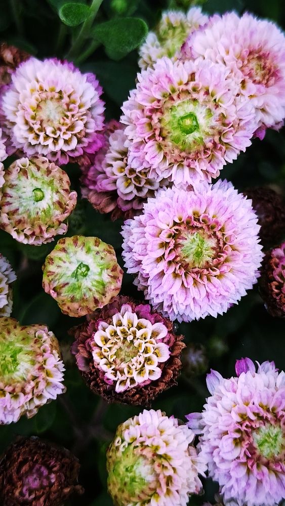 Photograph by Дарья Кирина