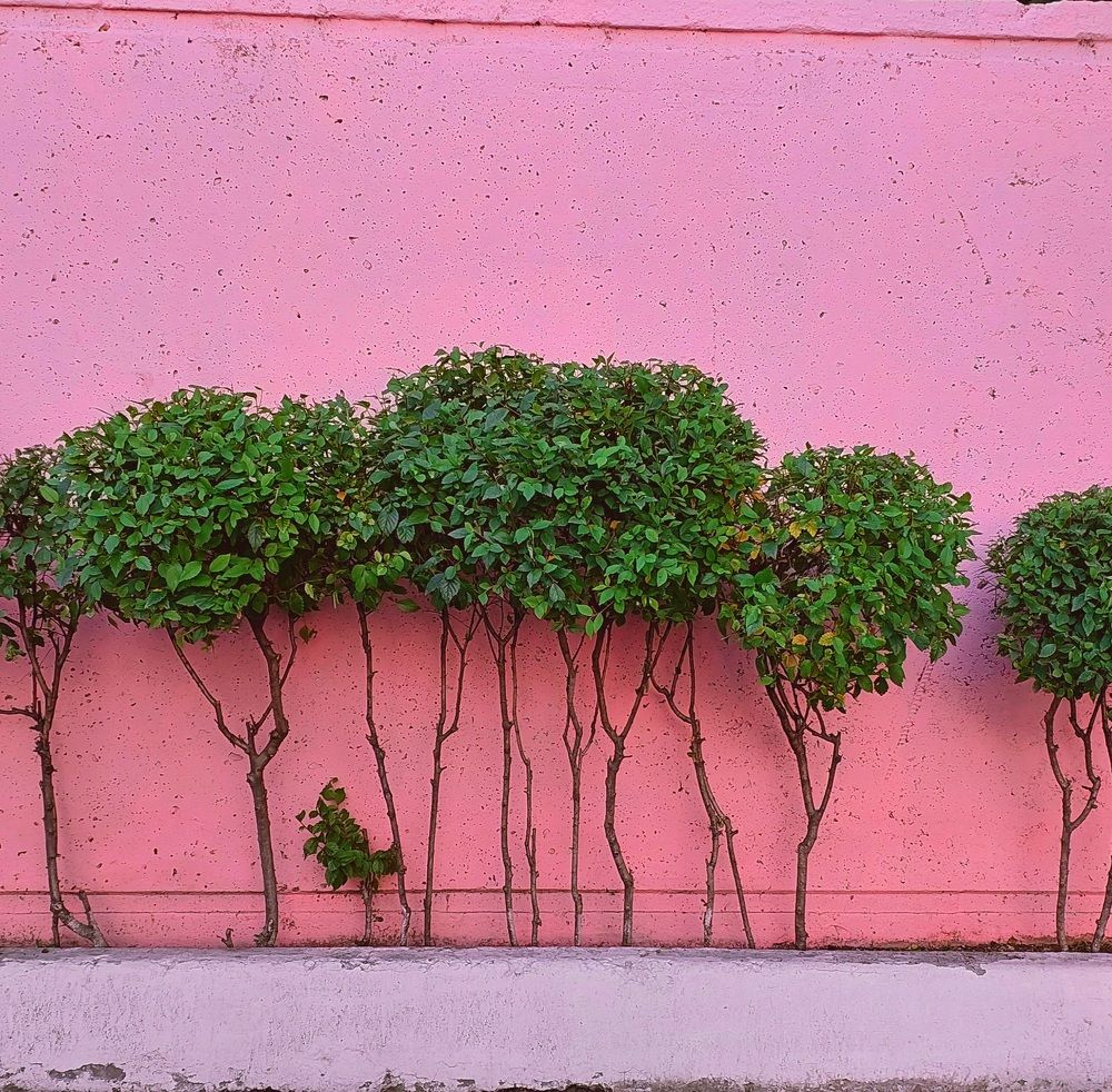 Photograph by Юлия Шмакотина