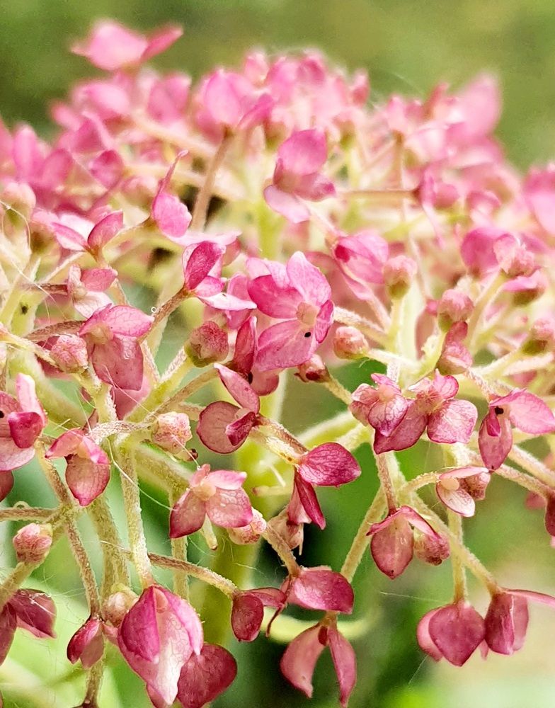 Photograph by Виктория Образцова