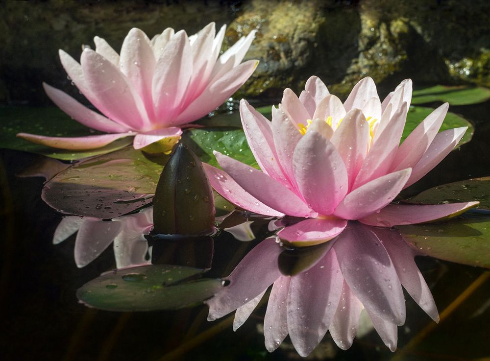 Фотография автора Борис Журавлёв