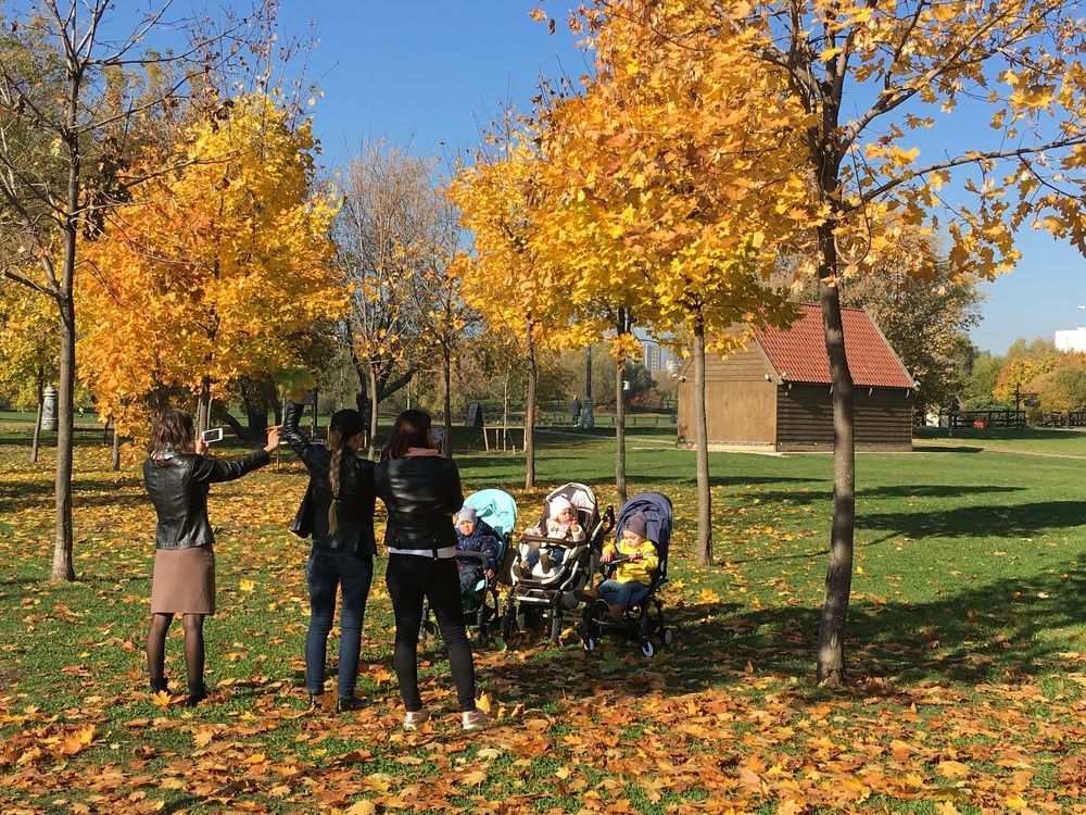 Photograph by Дмитрий Костяков