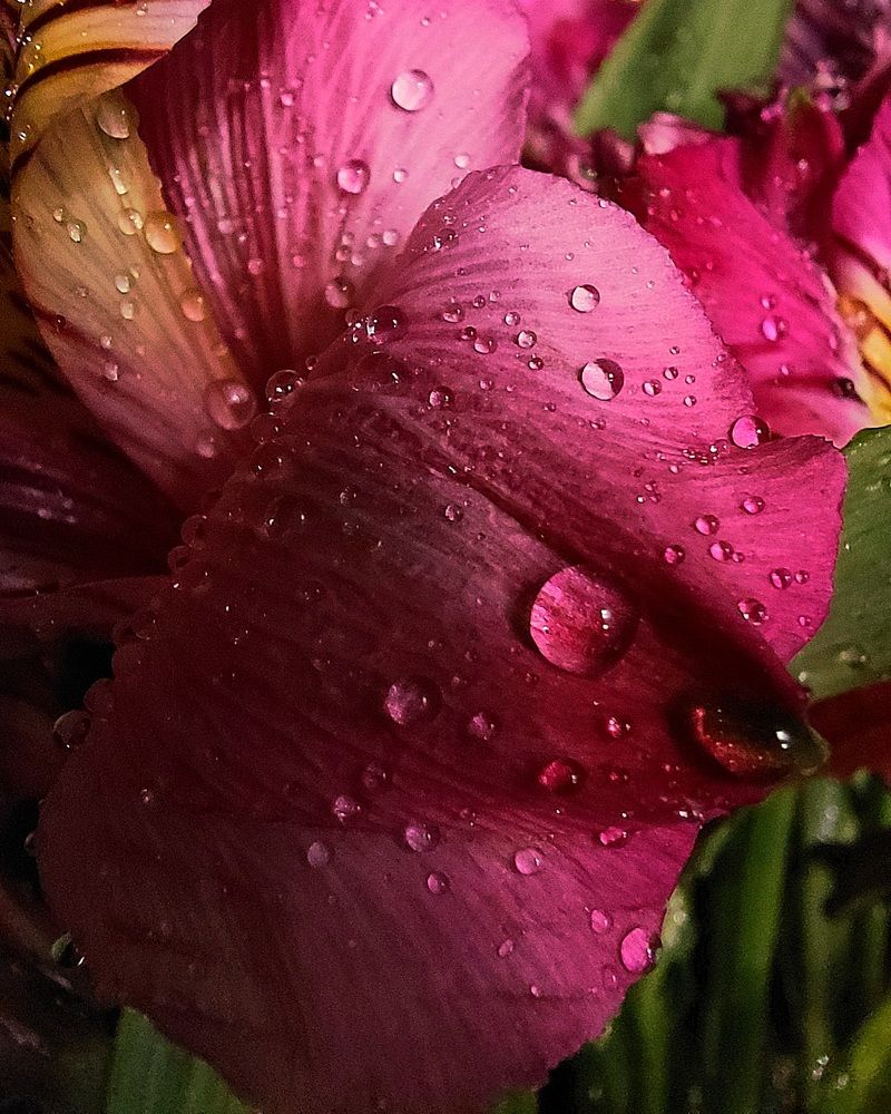 Photograph by Юлия Шмакотина