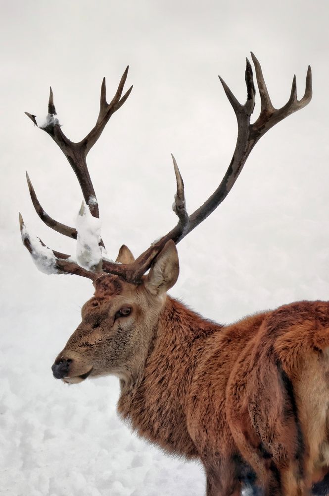 Photograph by Alessandro Moser