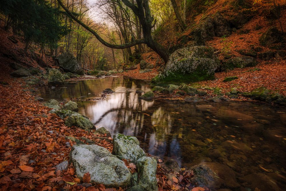 Photograph by Владимир Яковлев