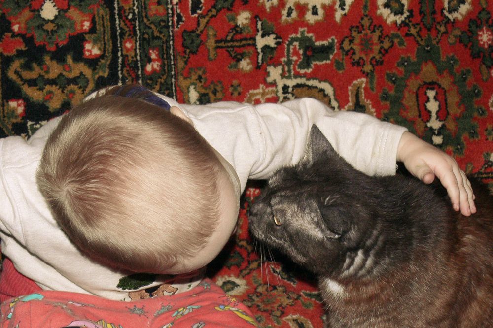 Фотография автора Борис Журавлёв