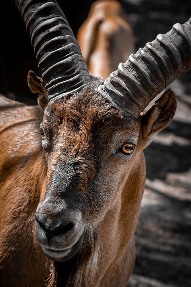 Photograph by Дмитрий Казачек