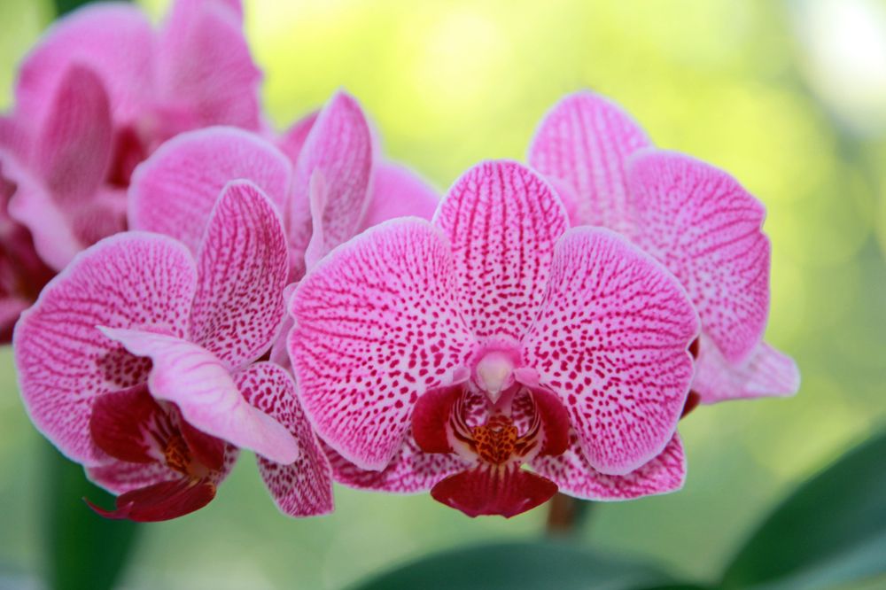 Photograph by Анастасия Северюхина