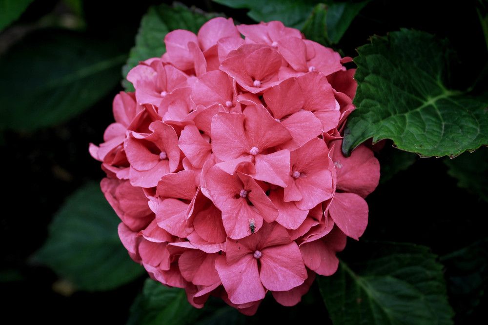 Photograph by Любовь Иванова