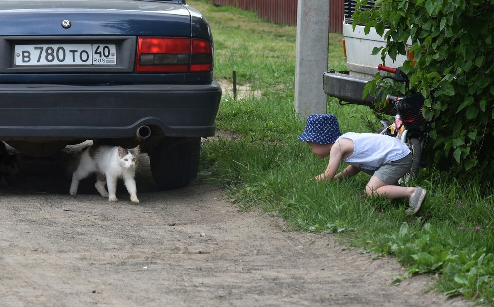 Photograph by Михаил Егоров