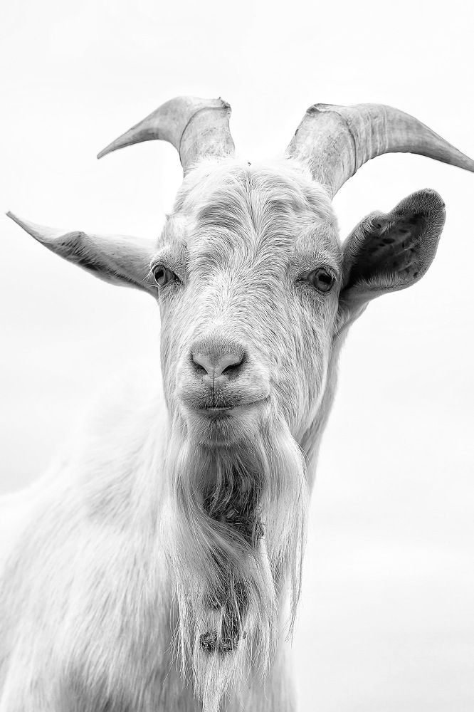 Photograph by Юлия Честнова