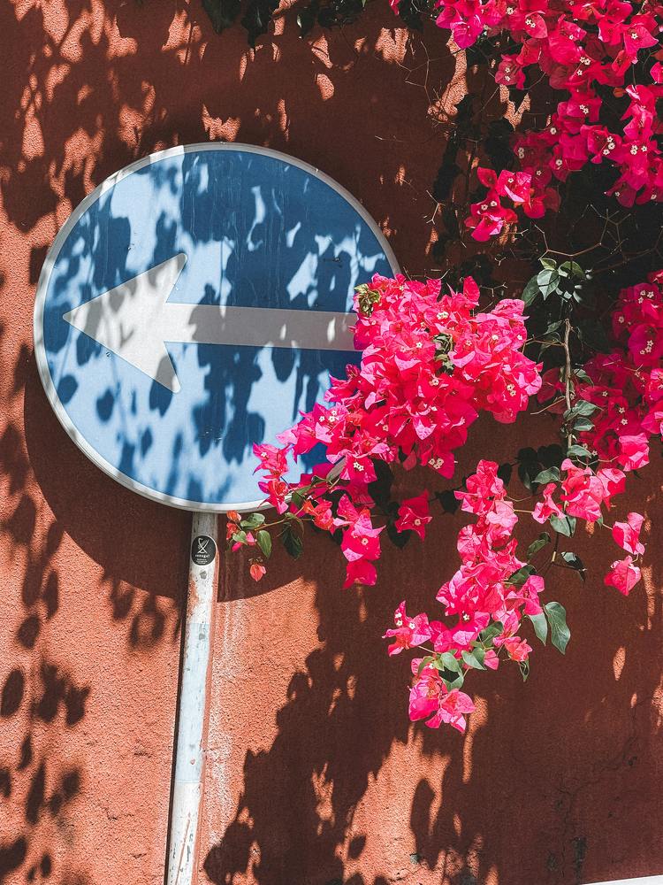 Photograph by Marina Zvada