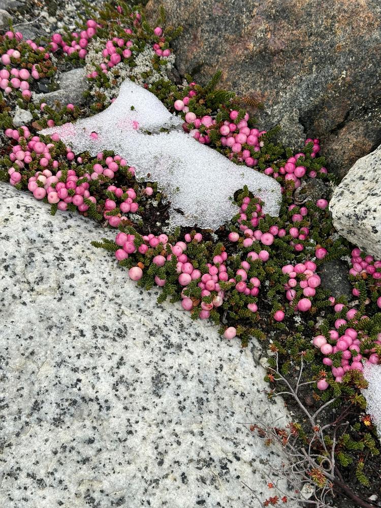 Photograph by Marina Zvada