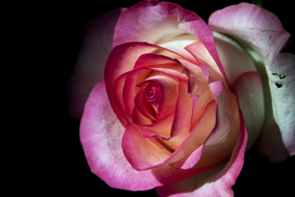 Photograph by Дария Ризниченко