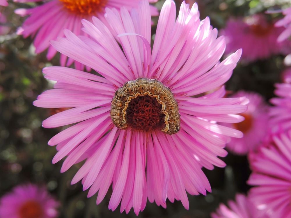 Photograph by Мария Широких