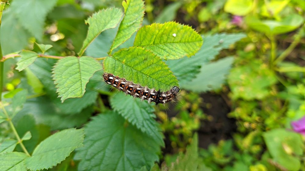 Photograph by Мария Широких