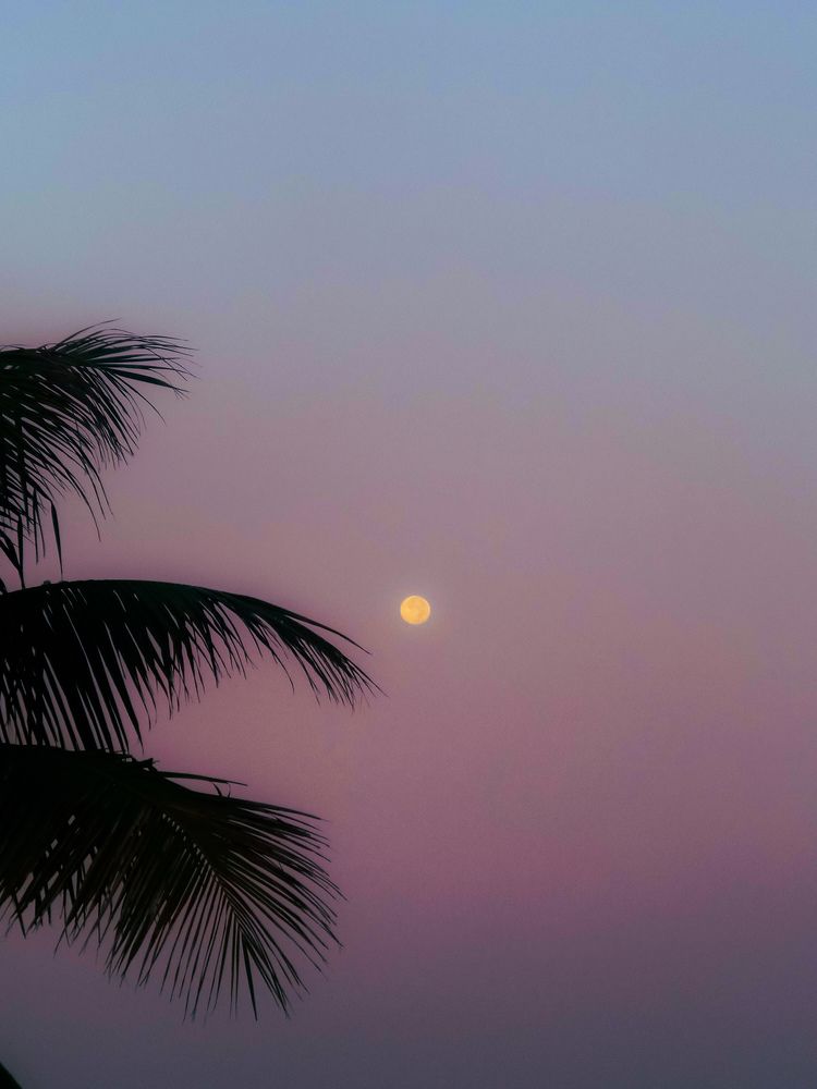 Фотография автора Rajvardhan Singh