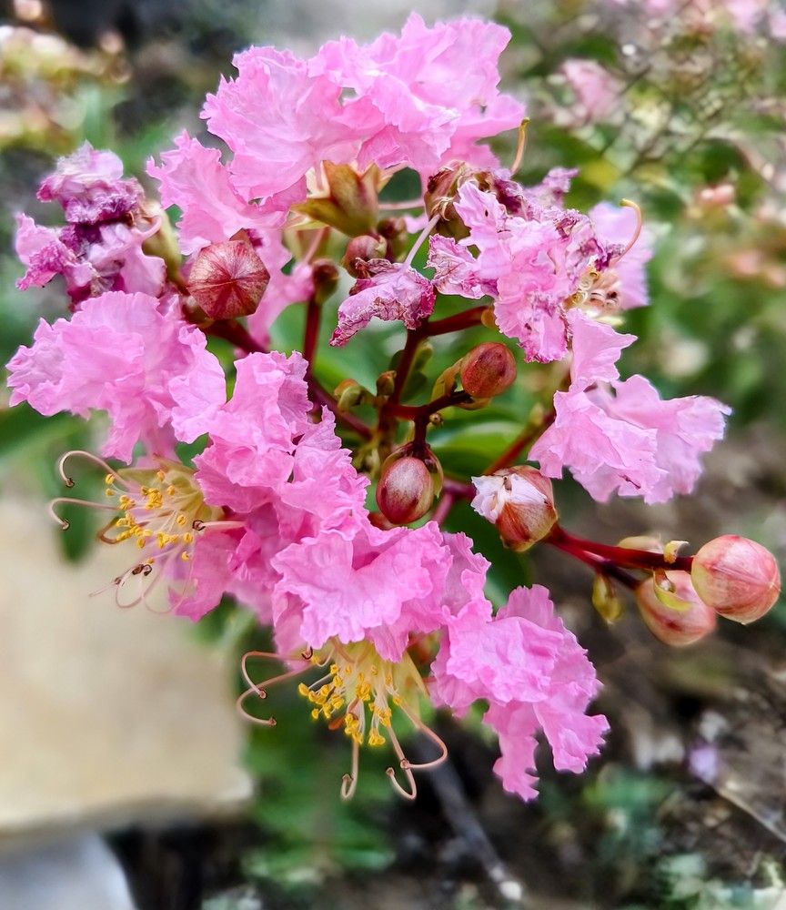 Photograph by Natalya Vasilenko