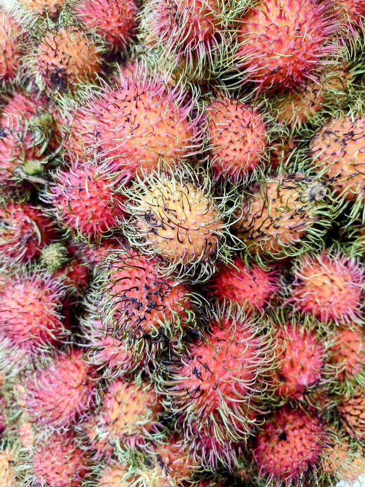 Photograph by Natalya Vasilenko