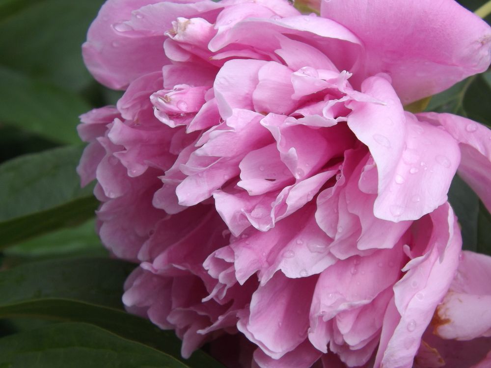 Фотография автора Валерий Елистратов