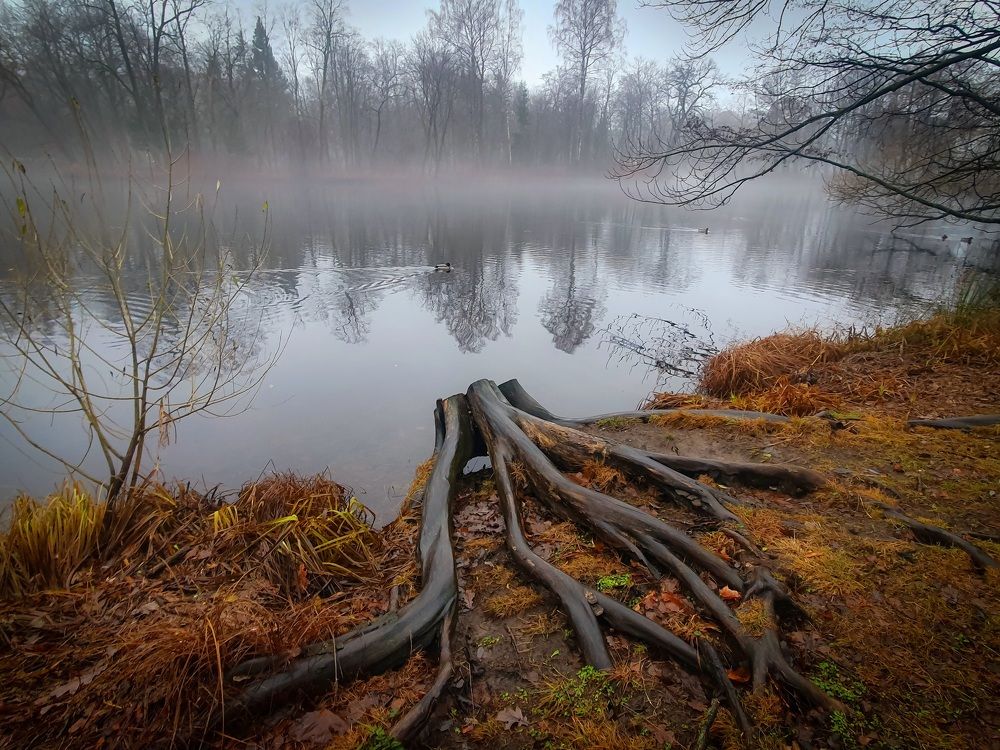 Фотография автора Inna Evseeva