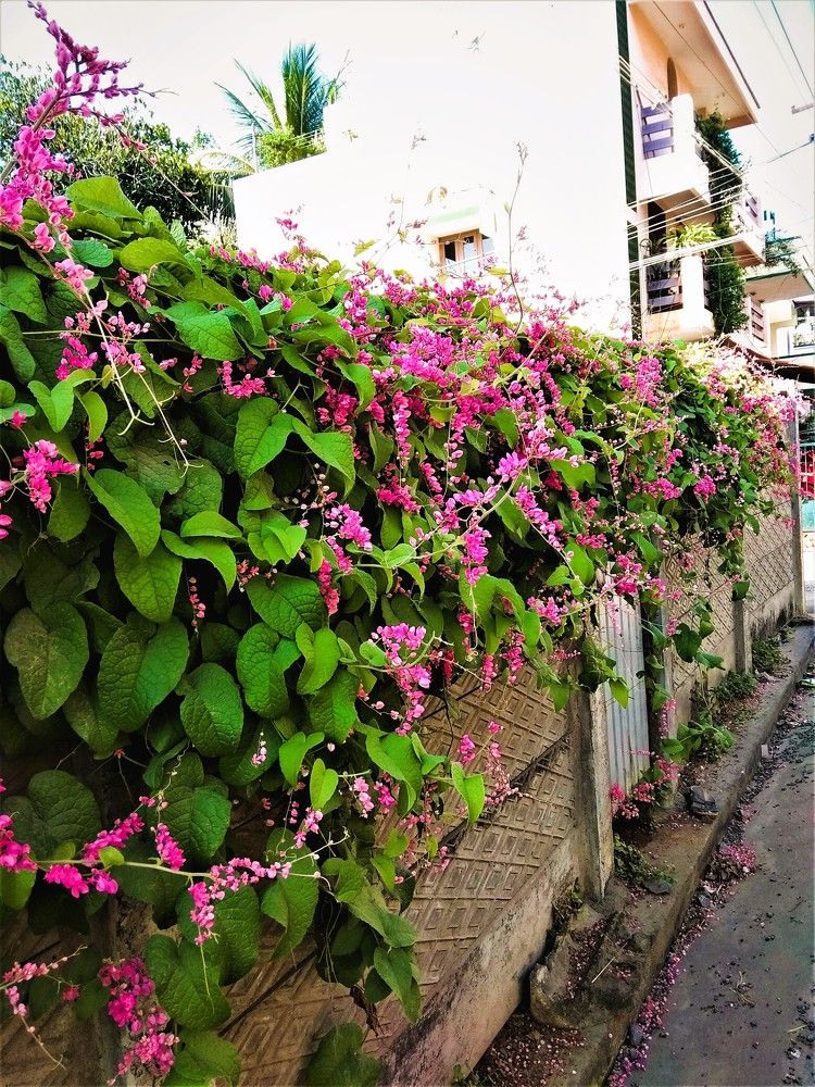 Фотография автора Nadarajan Lakshmanswamy