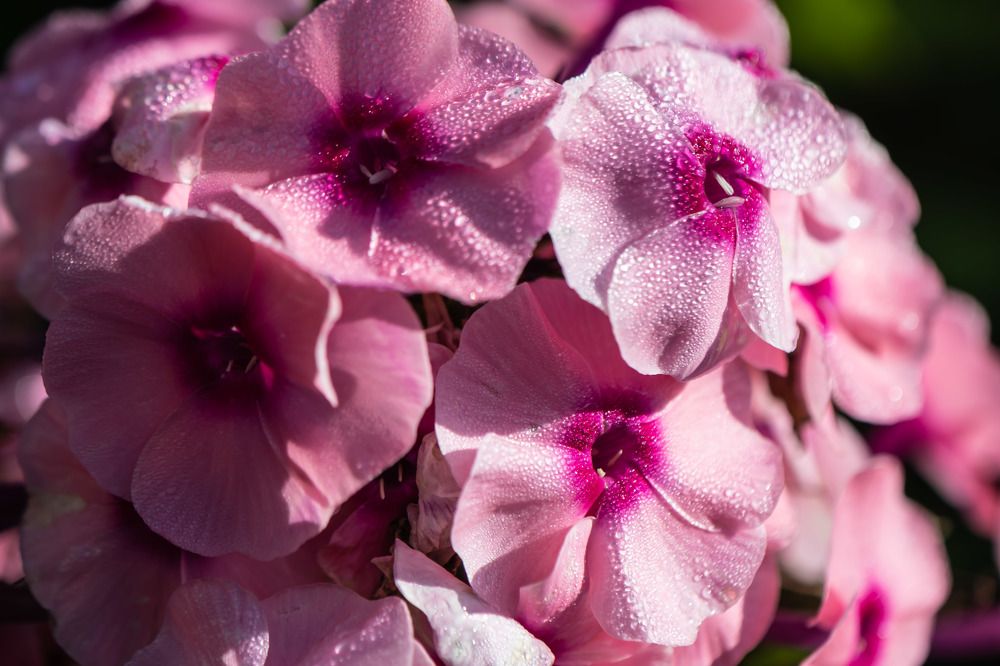 Photograph by Татьяна