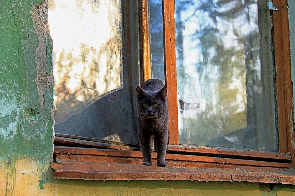 Photograph by Эдуард Петруша