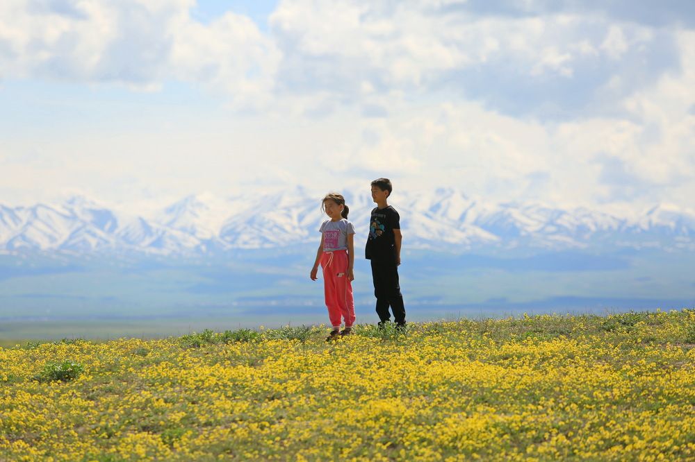 Photograph by Ирина Сушко