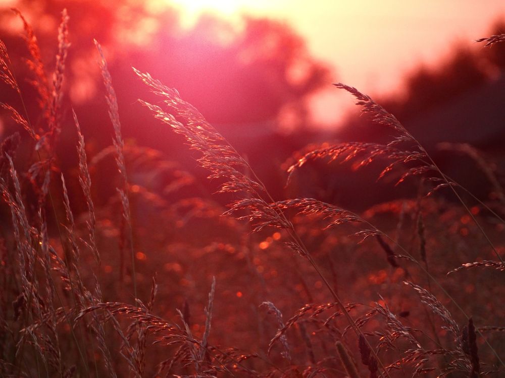 Photograph by Мария Широких