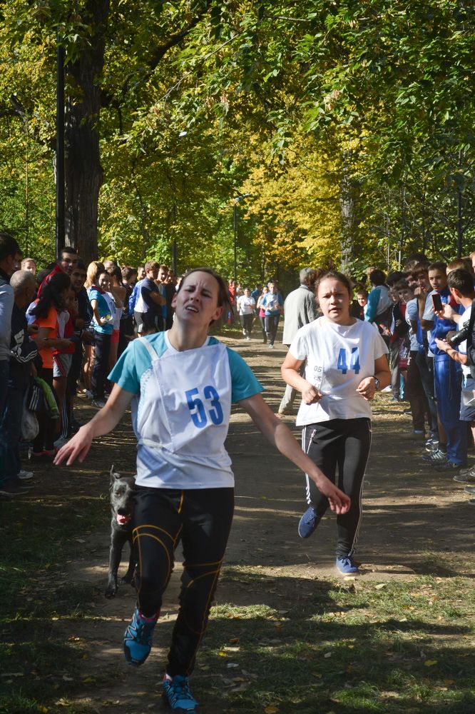 "Устойчивость на дорогах "