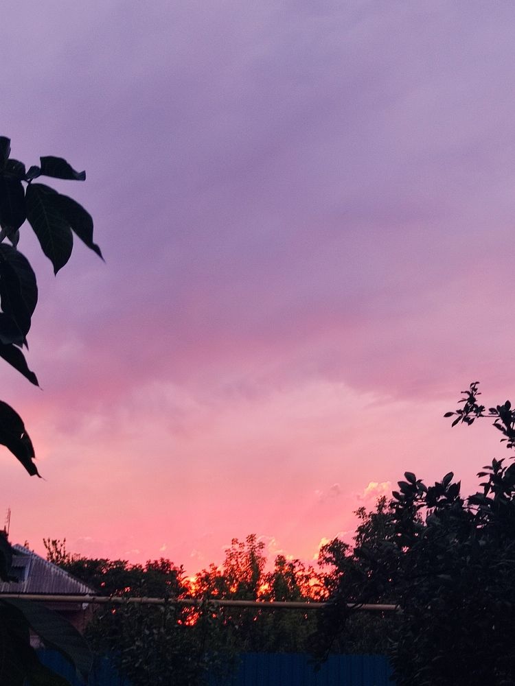 Розовый закат.