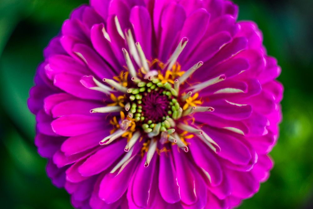 Photograph by Владислав Капанов