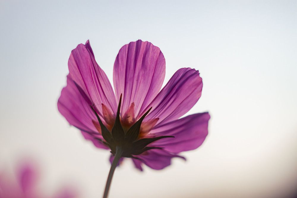 Photograph by Владислав Капанов