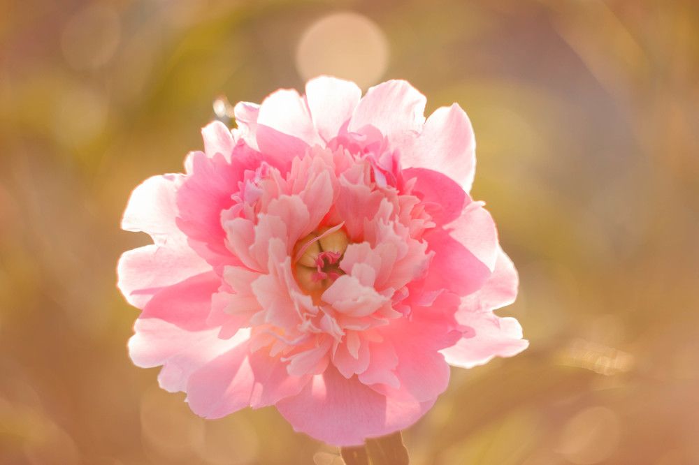 Photograph by Владислав Капанов