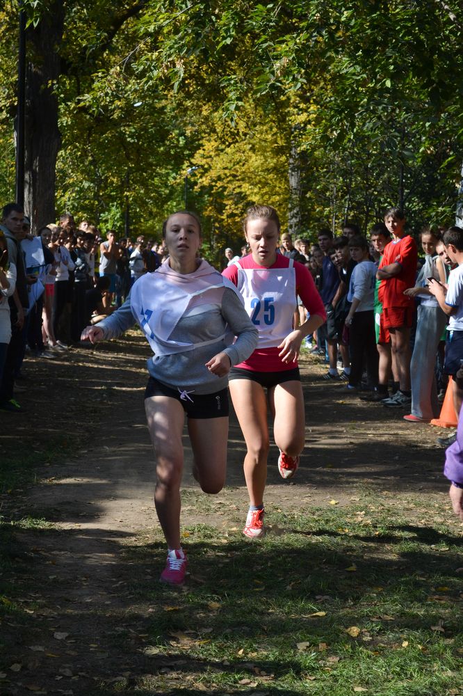 "Навстречу ветру"