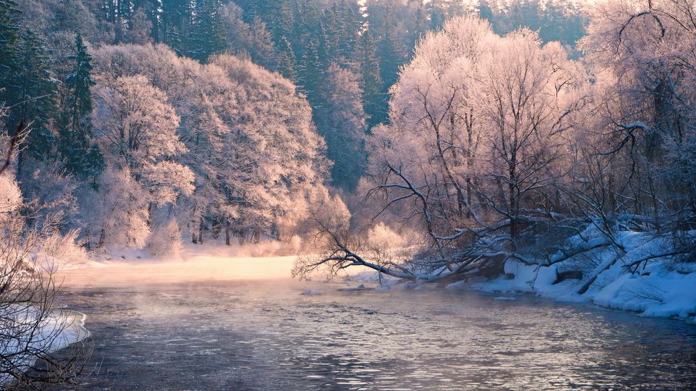 Photograph by Виктор Гурков