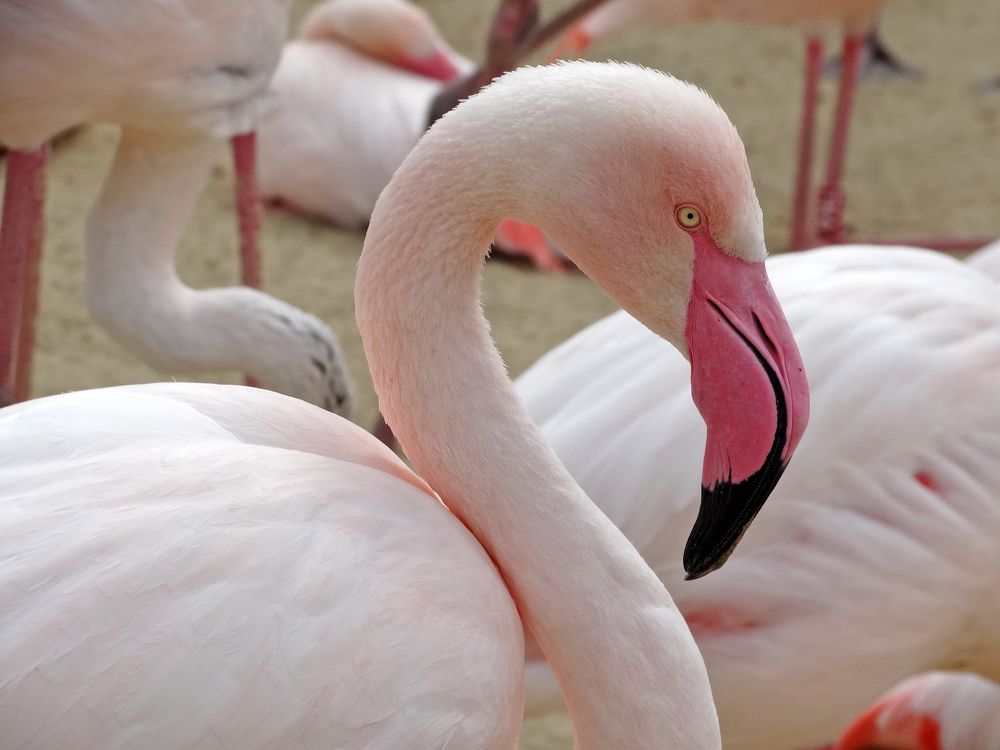 Photograph by Мила Милая