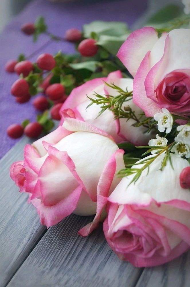 Photograph by Банановый Маффин