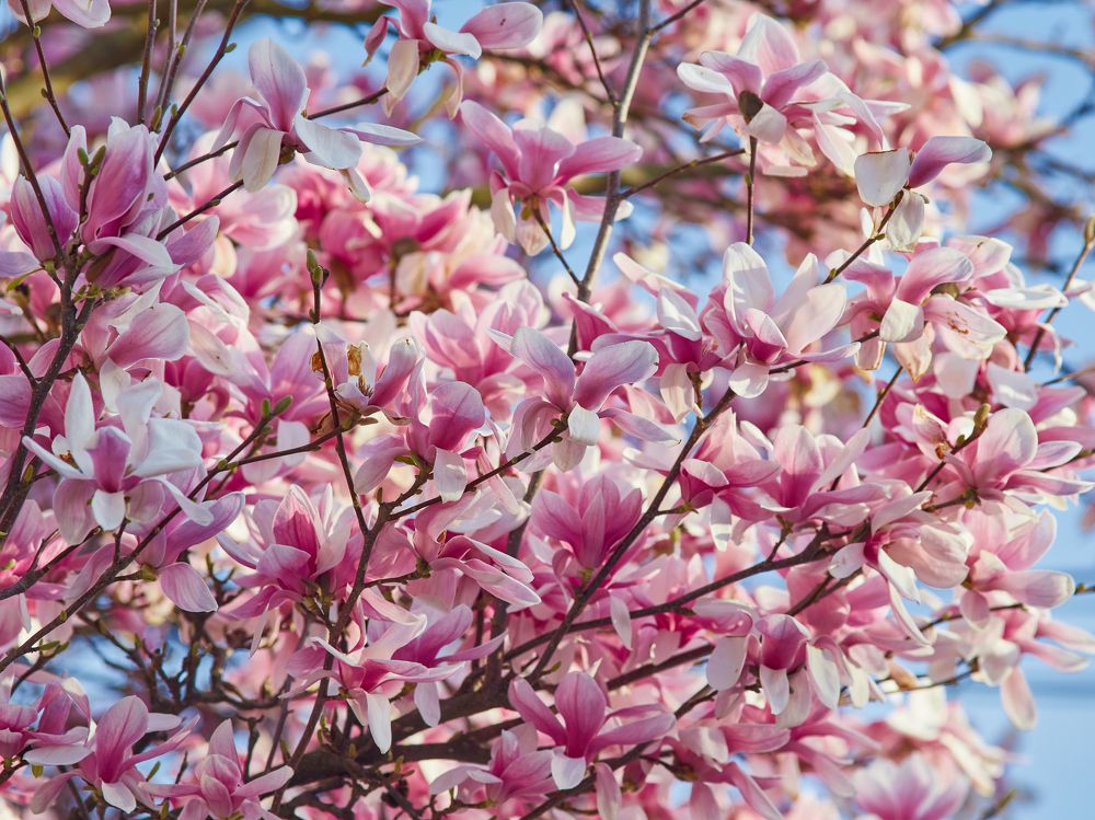 Photograph by Анастасия Васина