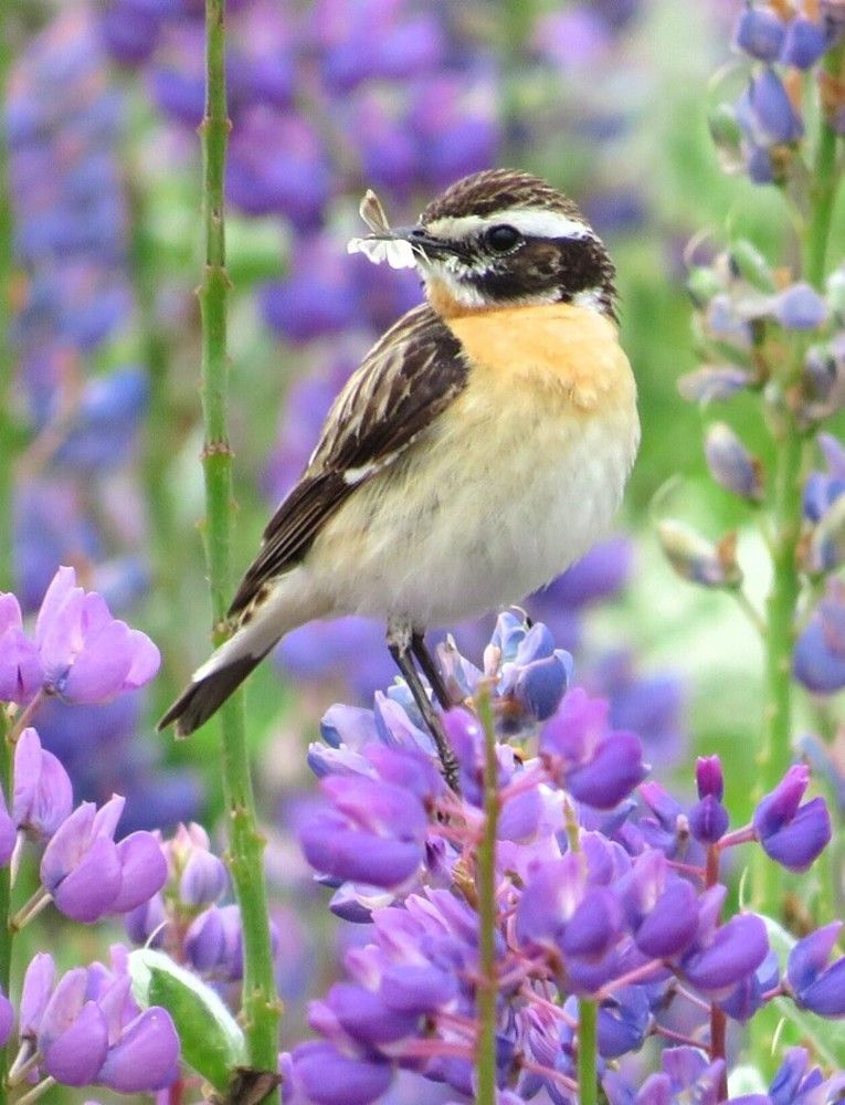 Photograph by Елена Кузина