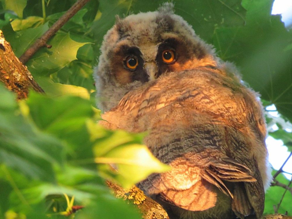 Photograph by Елена Кузина