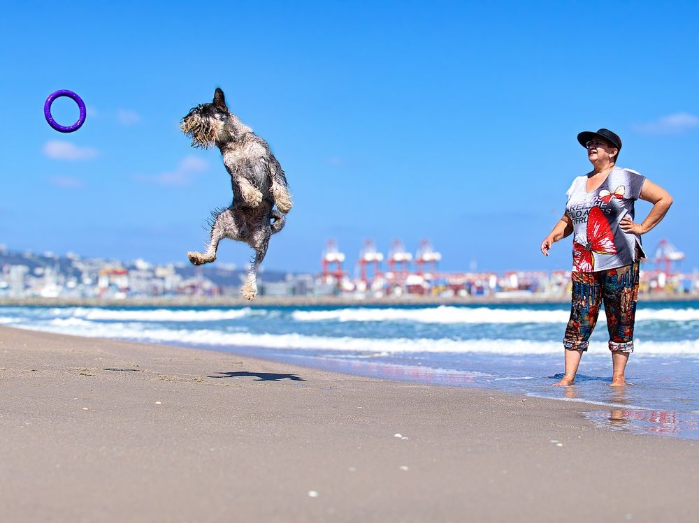 Photograph by Lev Tsenter