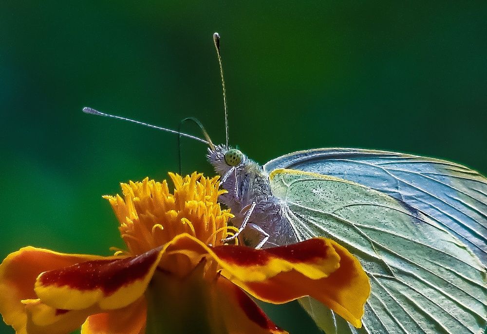 Photograph by zviad_k