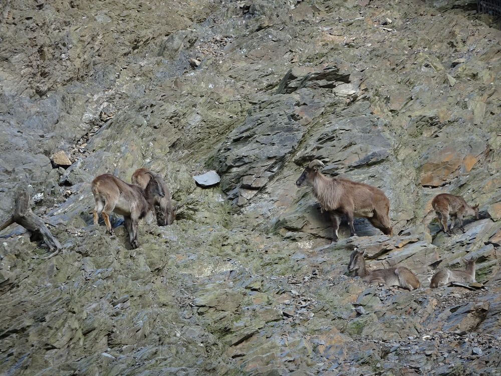 Photograph by Мила Милая