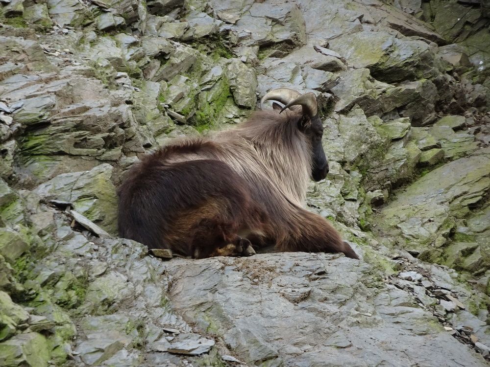 Photograph by Мила Милая