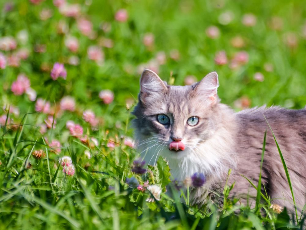 Photograph by Анастасия Гурова