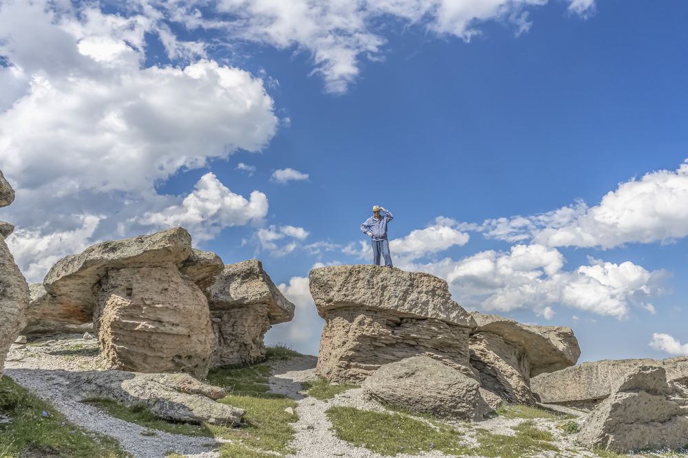 Каменные грибы