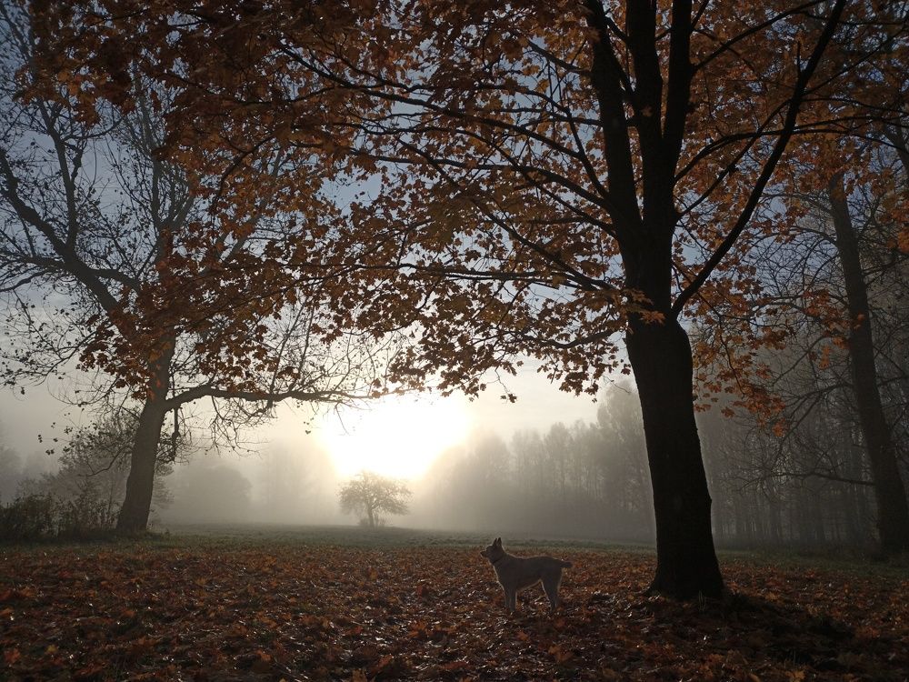 Photograph by Юлия