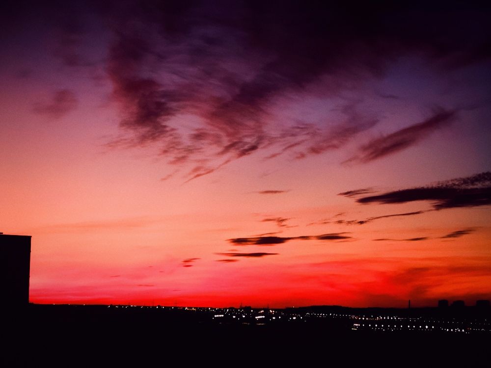 Photo #11430089